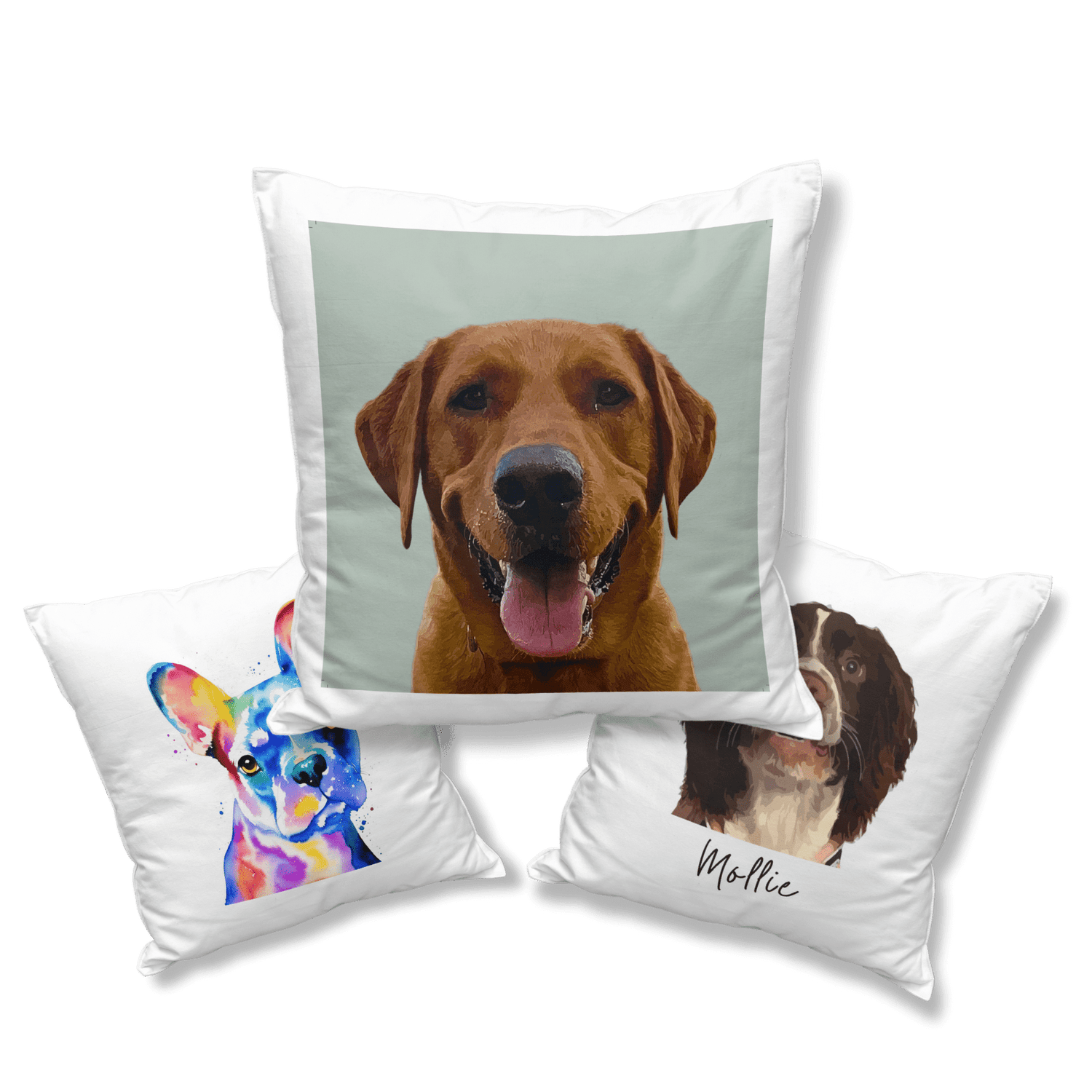 Pet Portrait Cushions - Fanaticelle