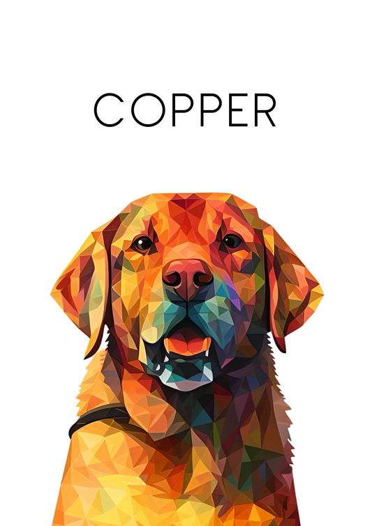 Geometric Pet Portrait