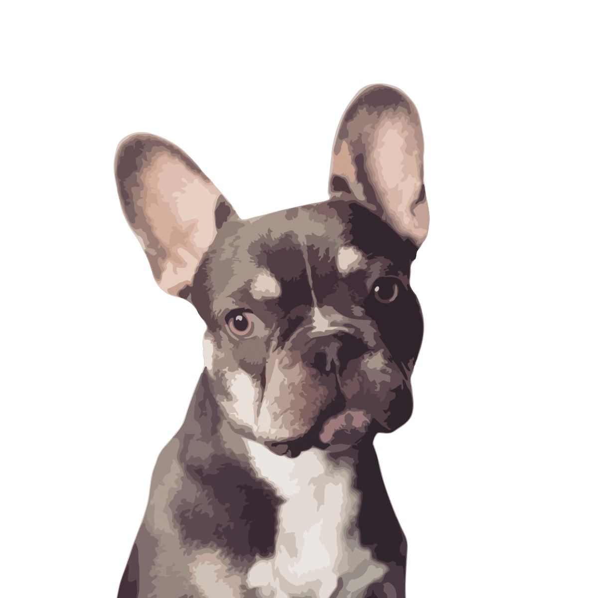 Minimalistic Pet Portrait Tote Bag - Fanaticelle