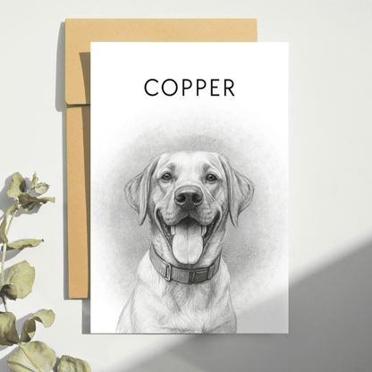 Pencil Pet Portrait - Fanaticelle